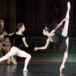 great ballet classics black swan